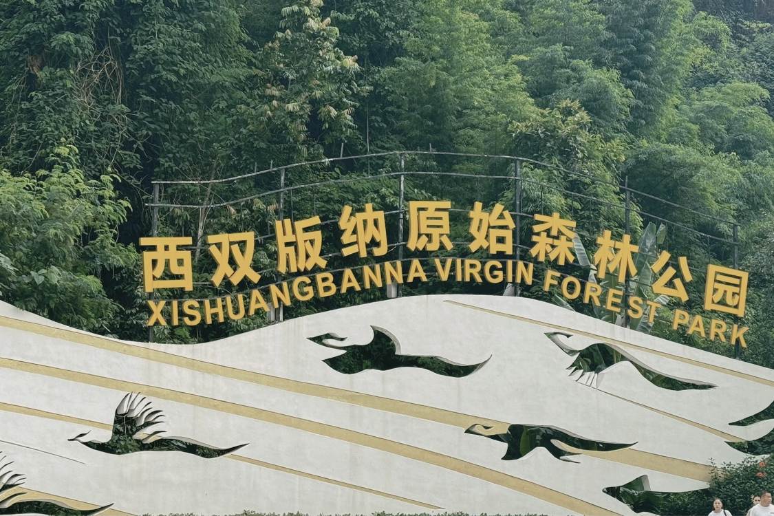 Original Forest Park